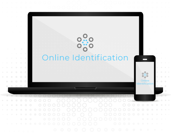 Online Identification